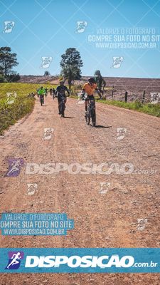 Foto 8214790