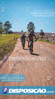 Foto 8214788