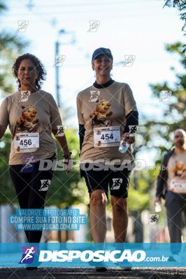 Foto 8221219