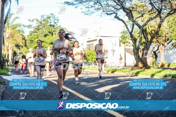 Foto 8221863