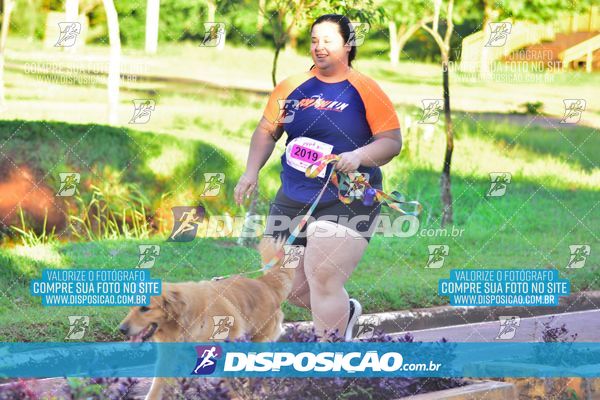 Foto 8161571