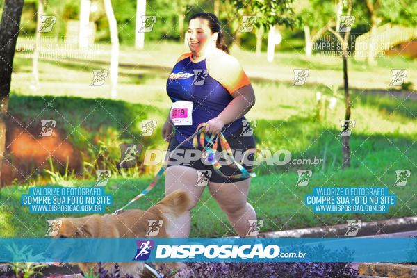 Foto 8161558