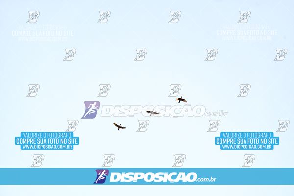Foto 8171336