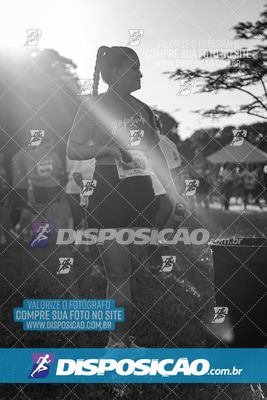 Foto 8191639
