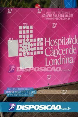 Foto 8155224