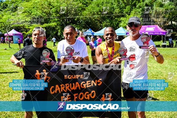 Foto 8201898