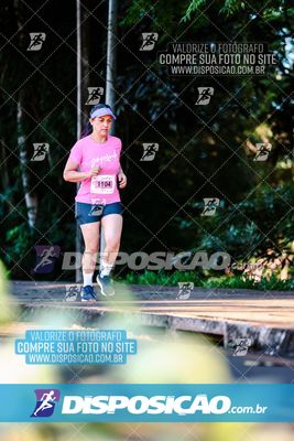 Foto 8163197