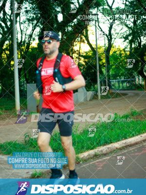 Foto 8193271