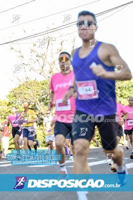 Foto 8144188