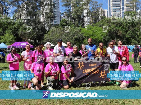 Foto 8175061