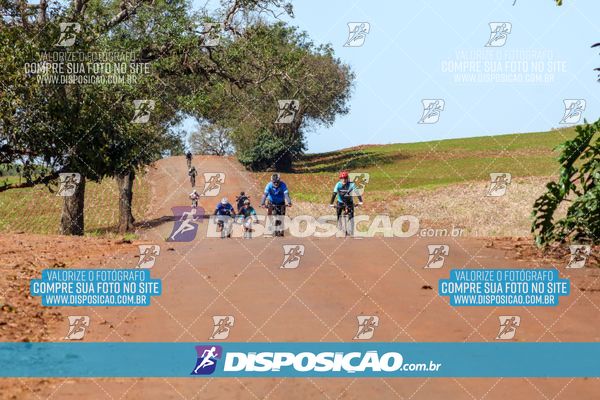 Foto 8204991