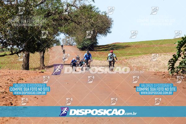 Foto 8204990