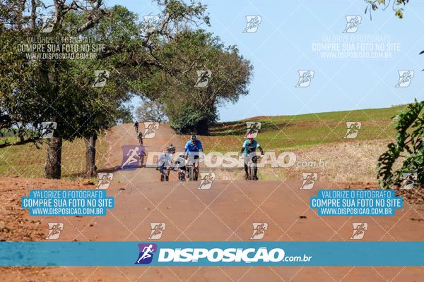 Foto 8204992
