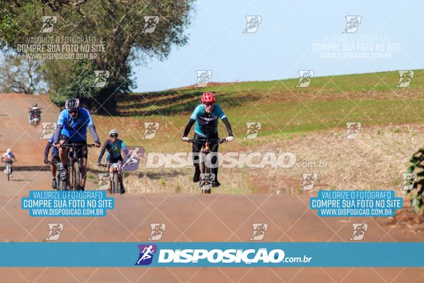 Foto 8204993