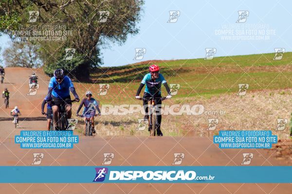 Foto 8204994