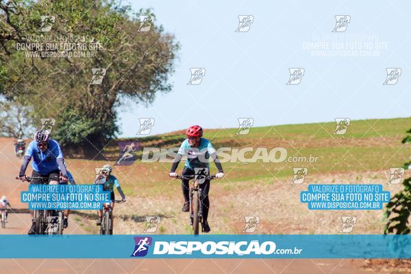 Foto 8204995