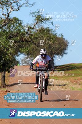 Foto 8205019