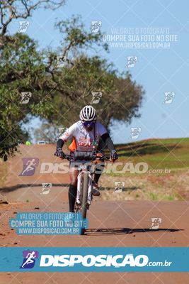 Foto 8205026