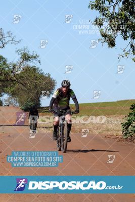 Foto 8205033