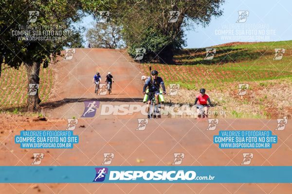 Foto 8205048