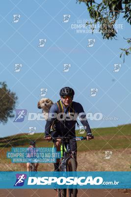 Foto 8205055