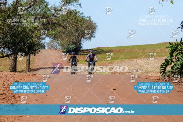Foto 8205090