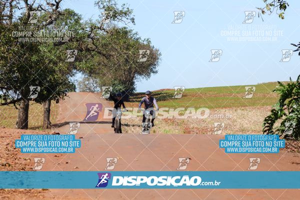 Foto 8205091