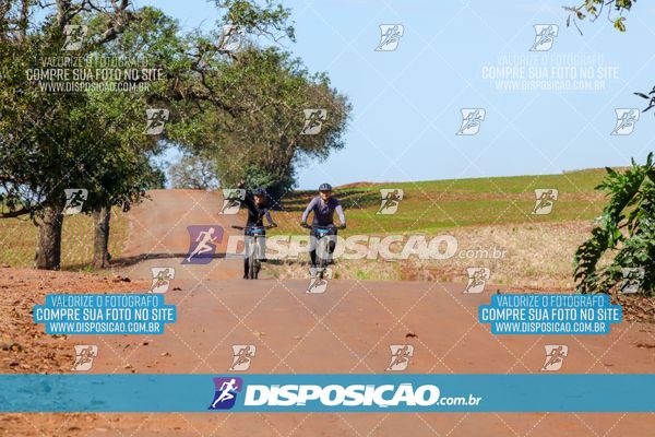 Foto 8205092