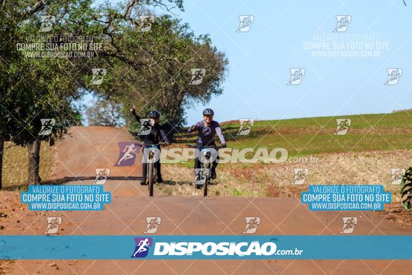Foto 8205093