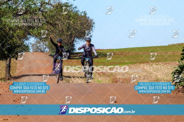 Foto 8205098