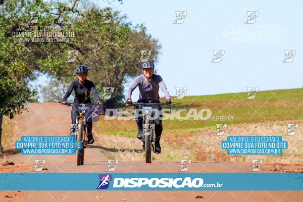 Foto 8205100