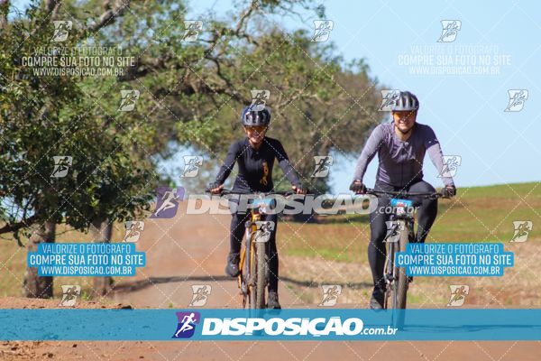 Foto 8205104