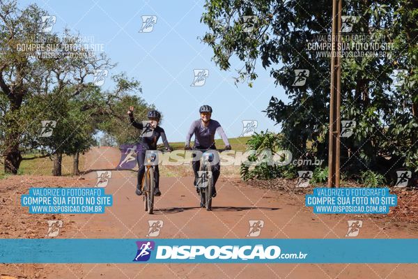 Foto 8205106