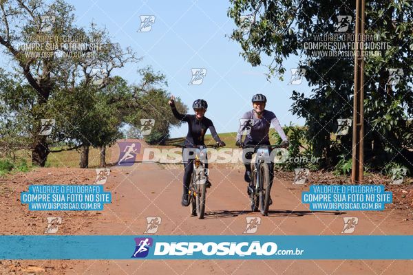Foto 8205105