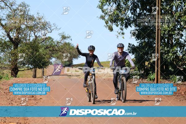 Foto 8205108