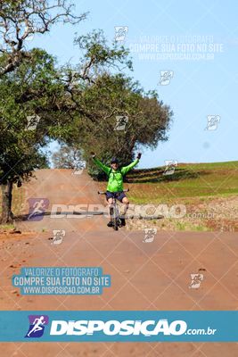 Foto 8205116