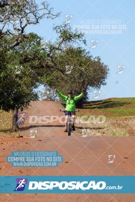 Foto 8205117