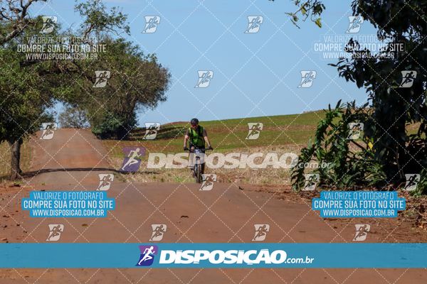 Foto 8205161