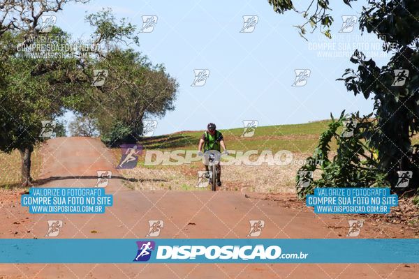 Foto 8205160
