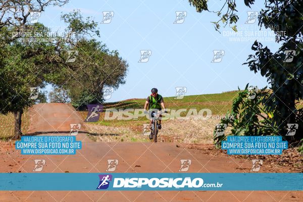 Foto 8205158