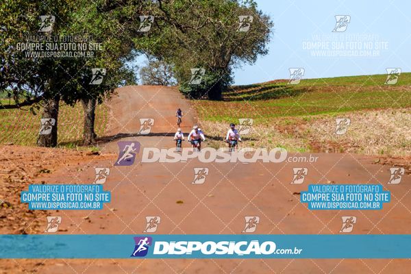 Foto 8205173