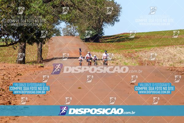 Foto 8205174