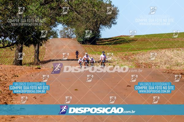 Foto 8205172