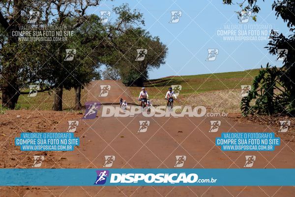 Foto 8205177