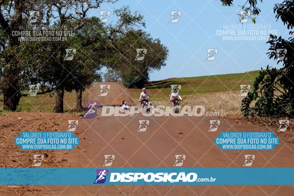 Foto 8205176