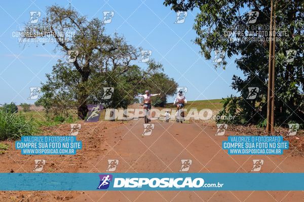 Foto 8205178