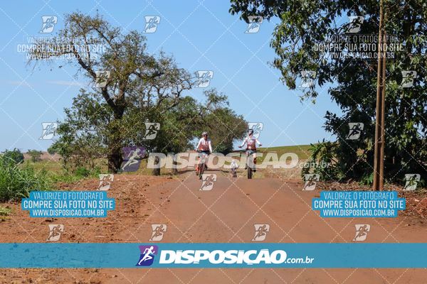 Foto 8205182