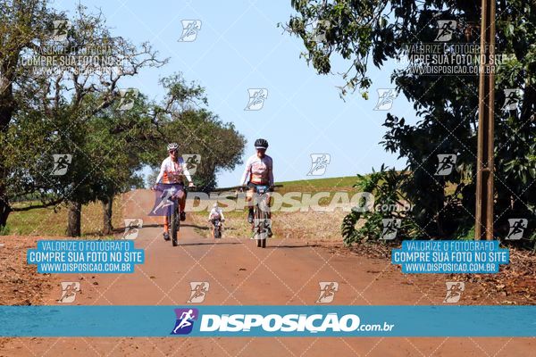 Foto 8205181