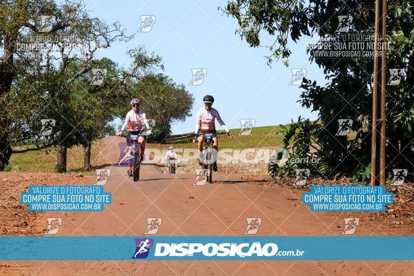 Foto 8205184