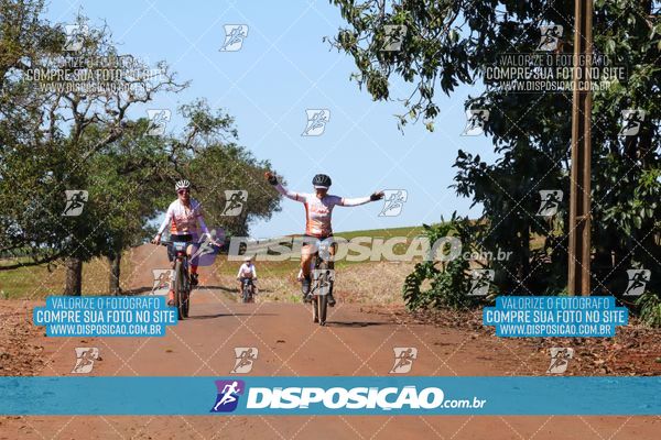 Foto 8205189